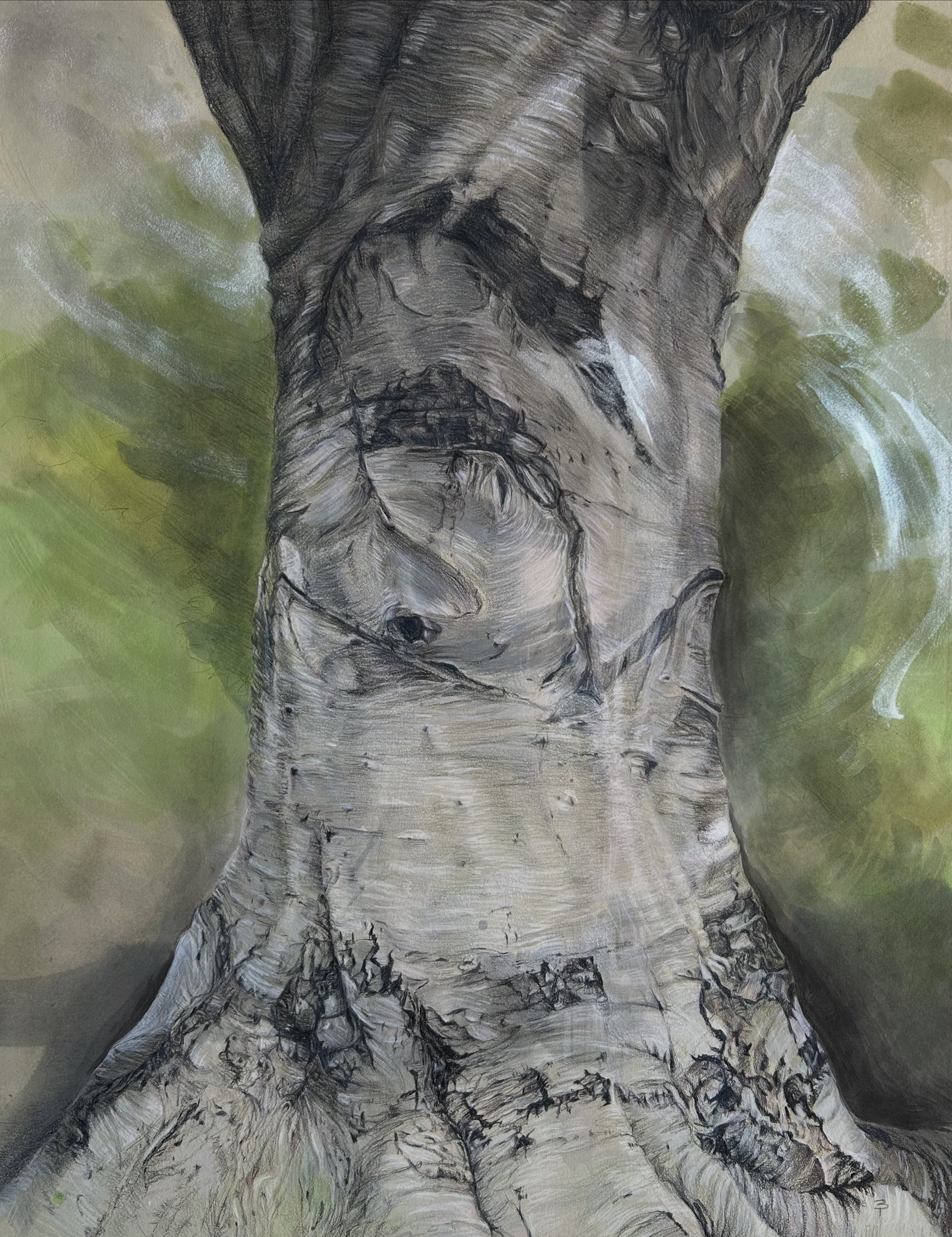 Torso 12, Watercolor and watercolor pencils on paper, 31" x 23"