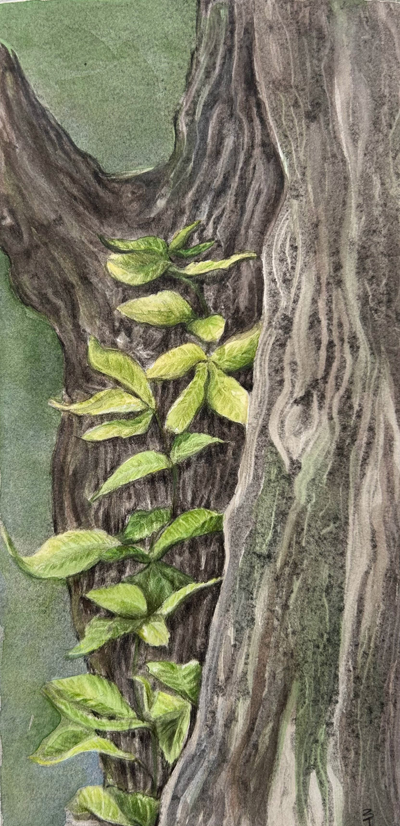 Tree with Ivy 3 (ghost print and watercolor)