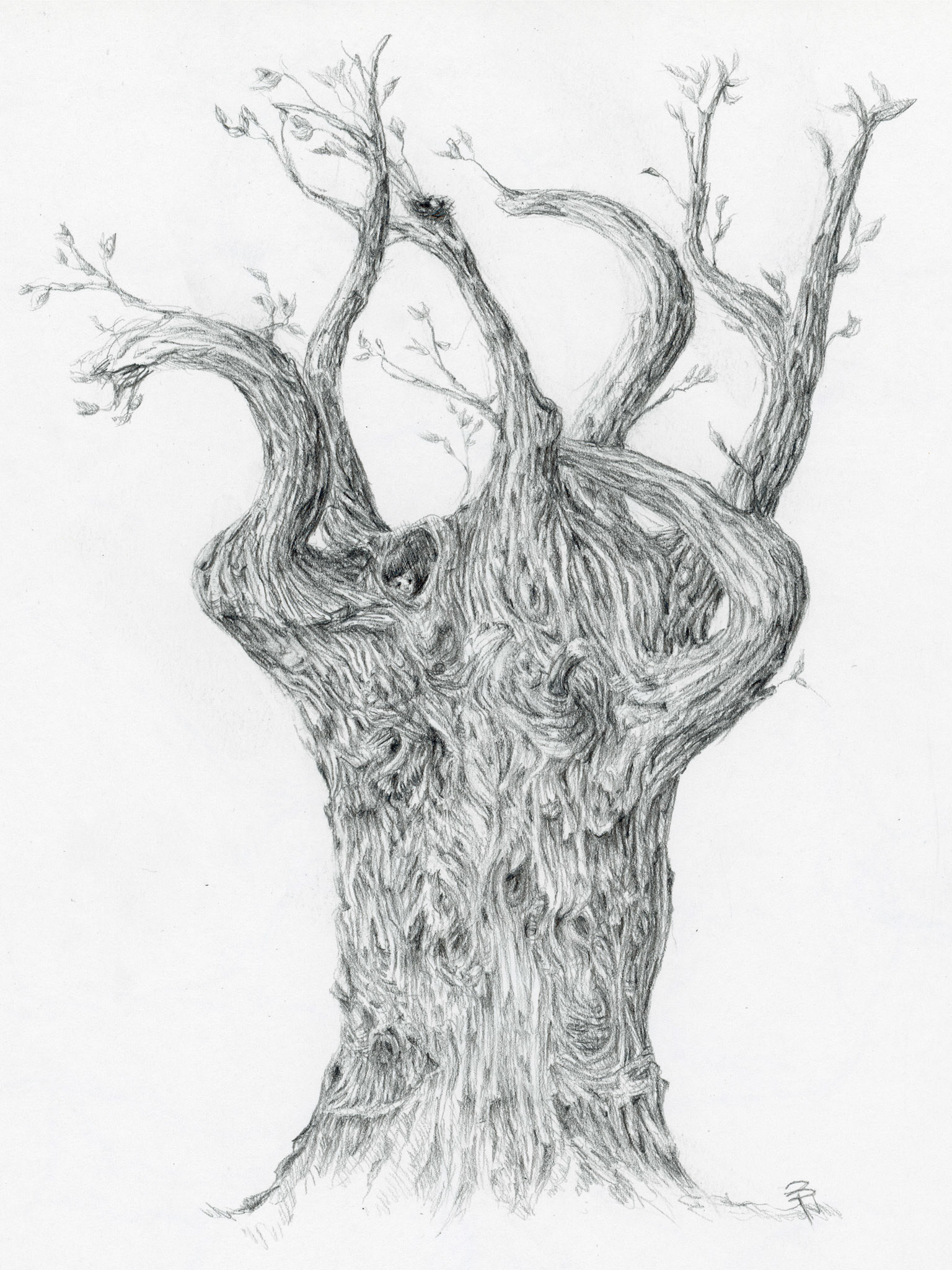 Tree 2024, , Print Size 9" x 6", $185