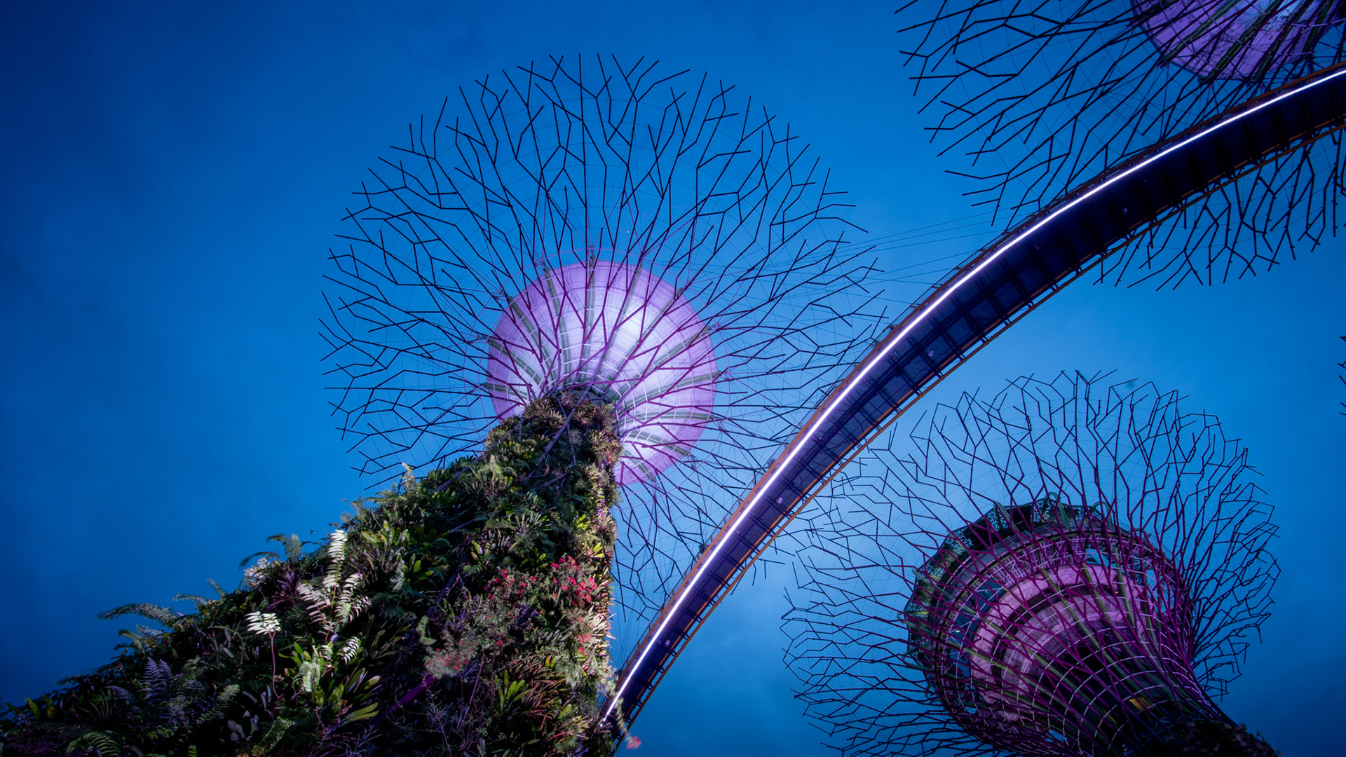 Gardens of Singapore