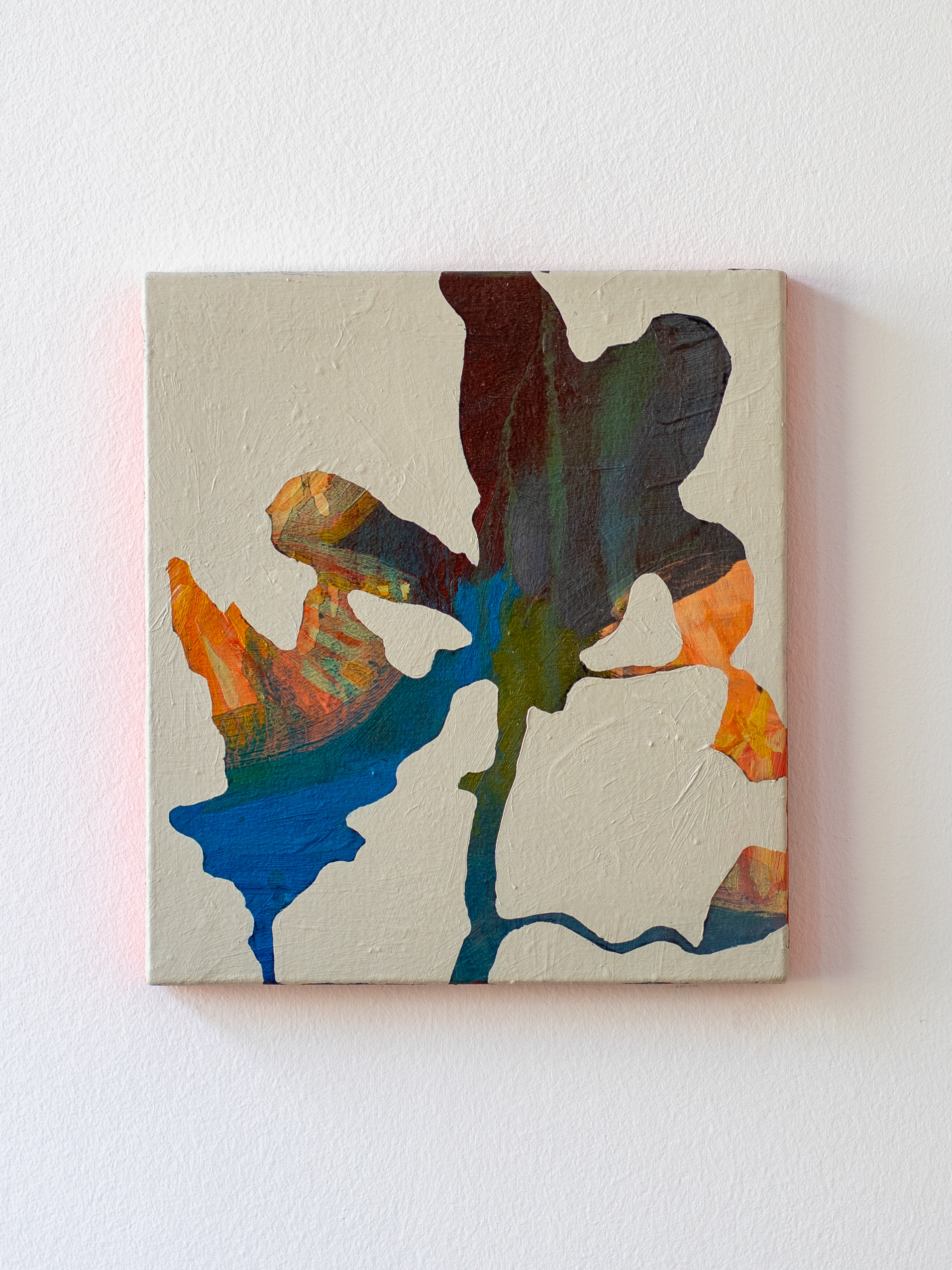 Last Softness 24x27 cm