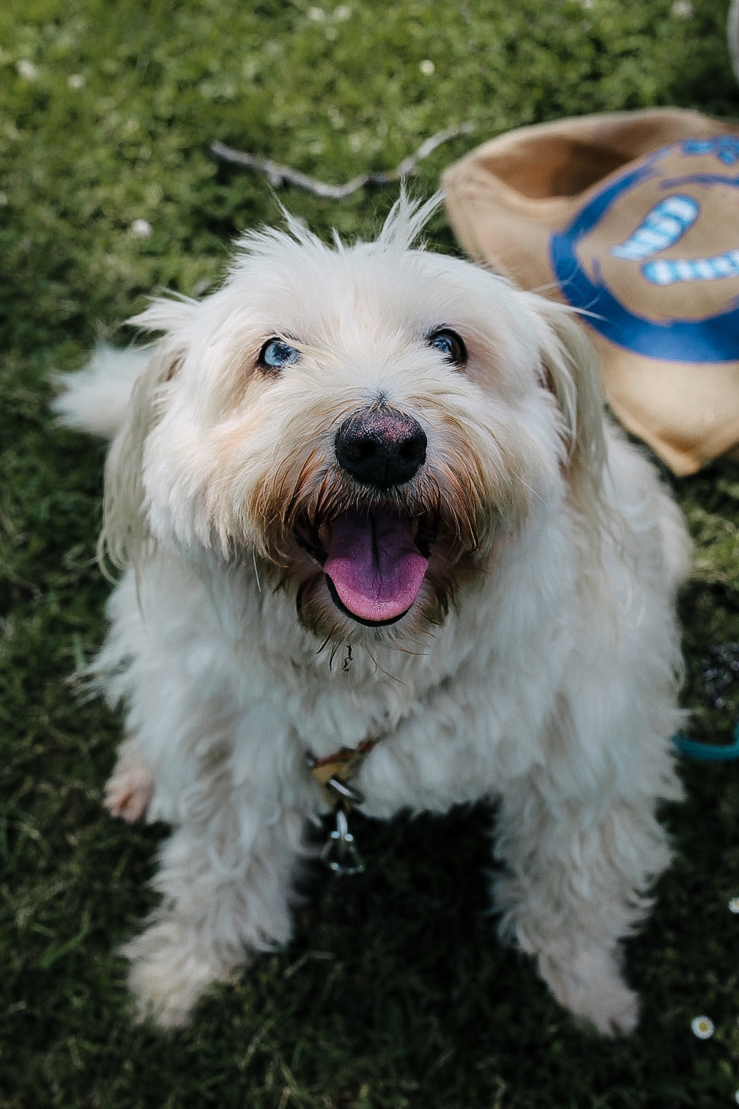 © Fanny Saint-Martin