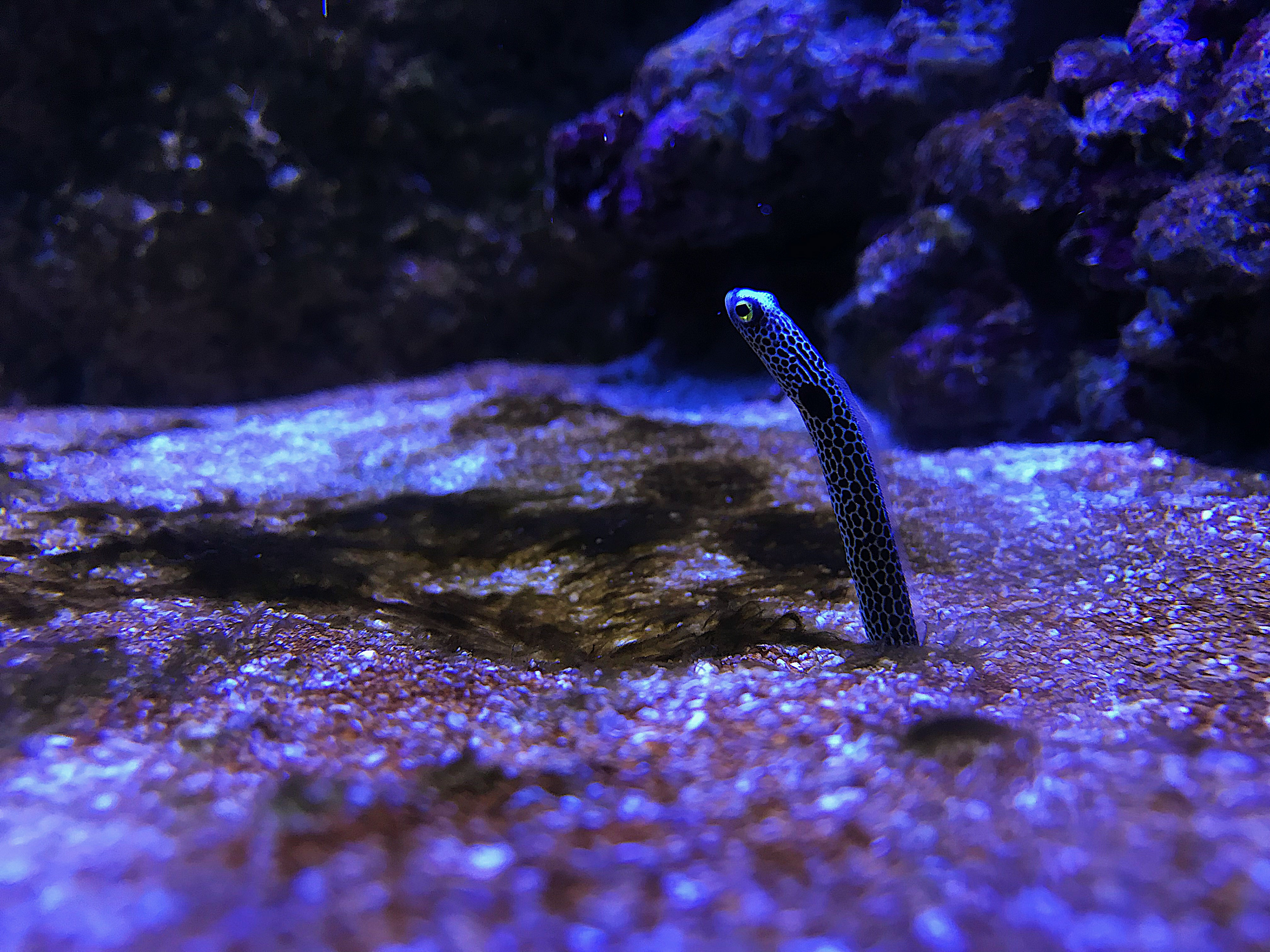 © Fanny Saint-Martin