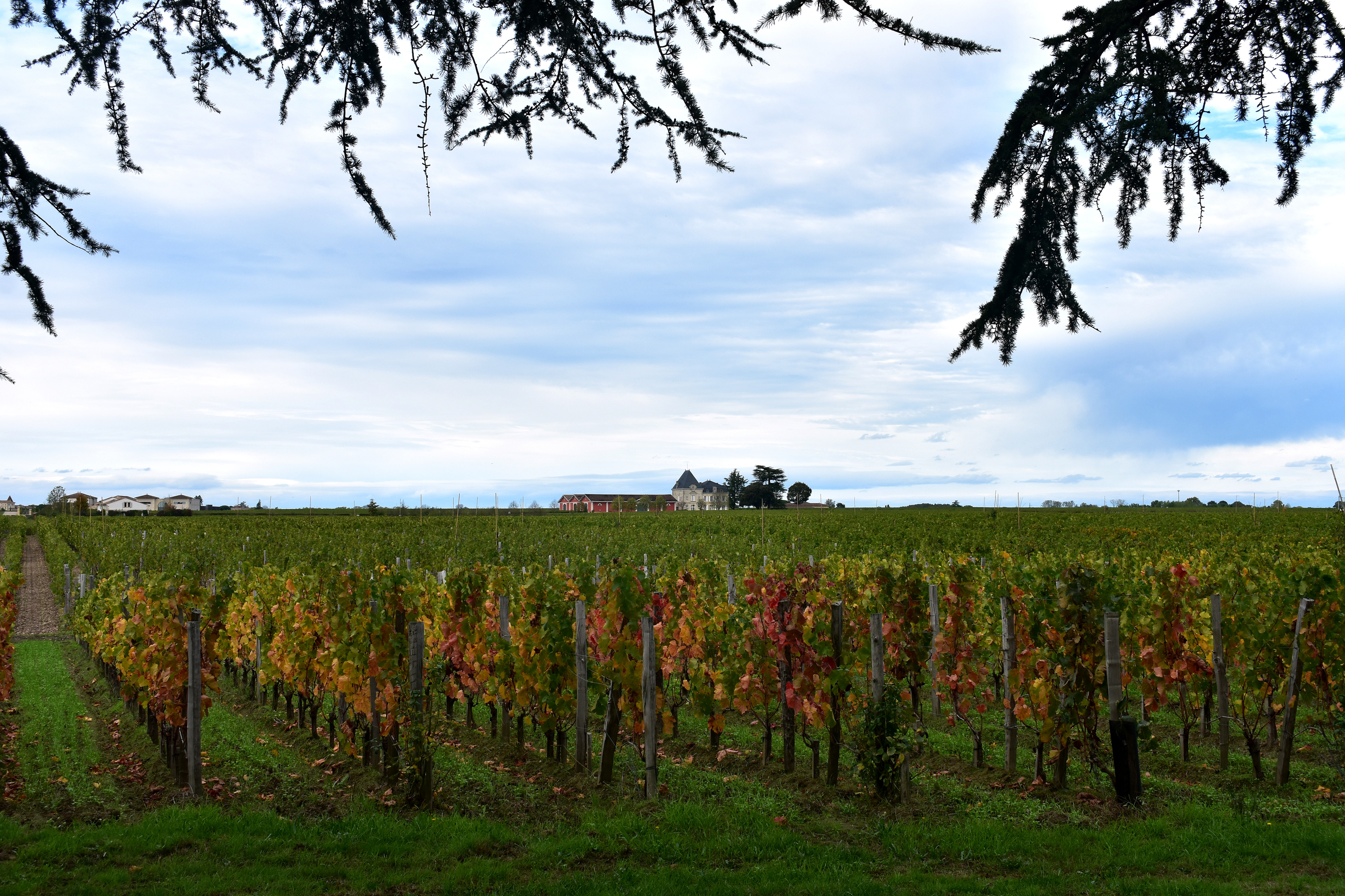 Château Cheval Blanc © Fanny Saint-Martin