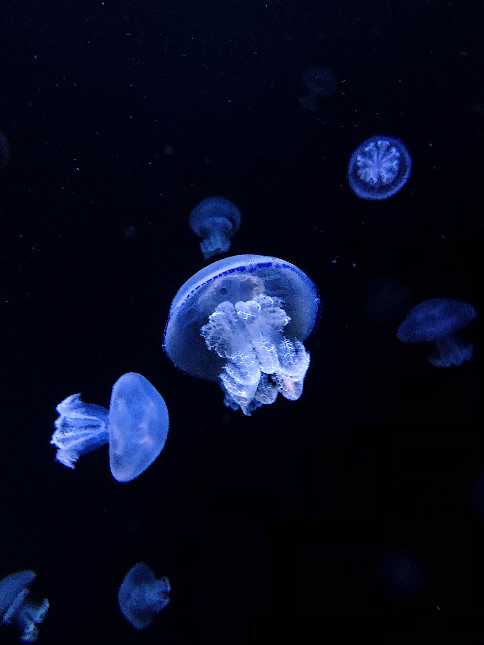 © Fanny Saint-Martin