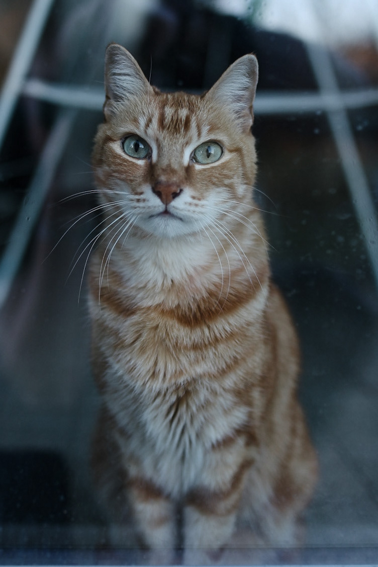 © Fanny Saint-Martin