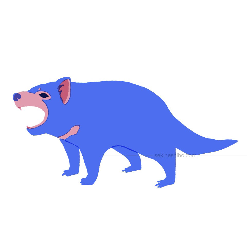 「タスマニアデビル」