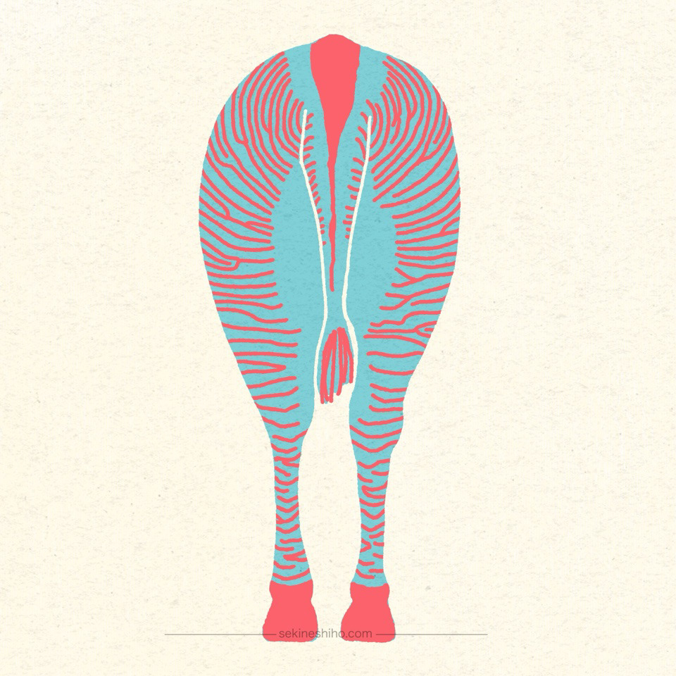 「グレービーシマウマ」