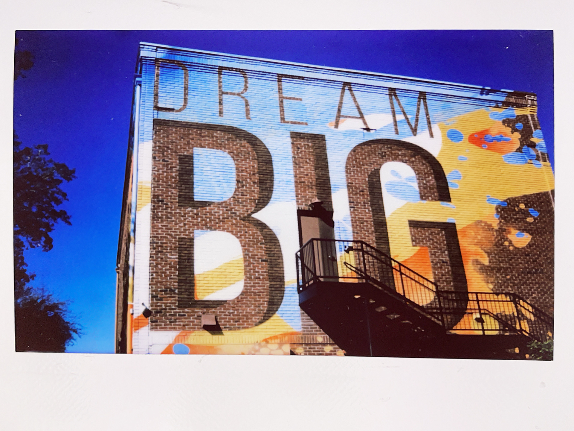 Dream Big Florida Polaroid