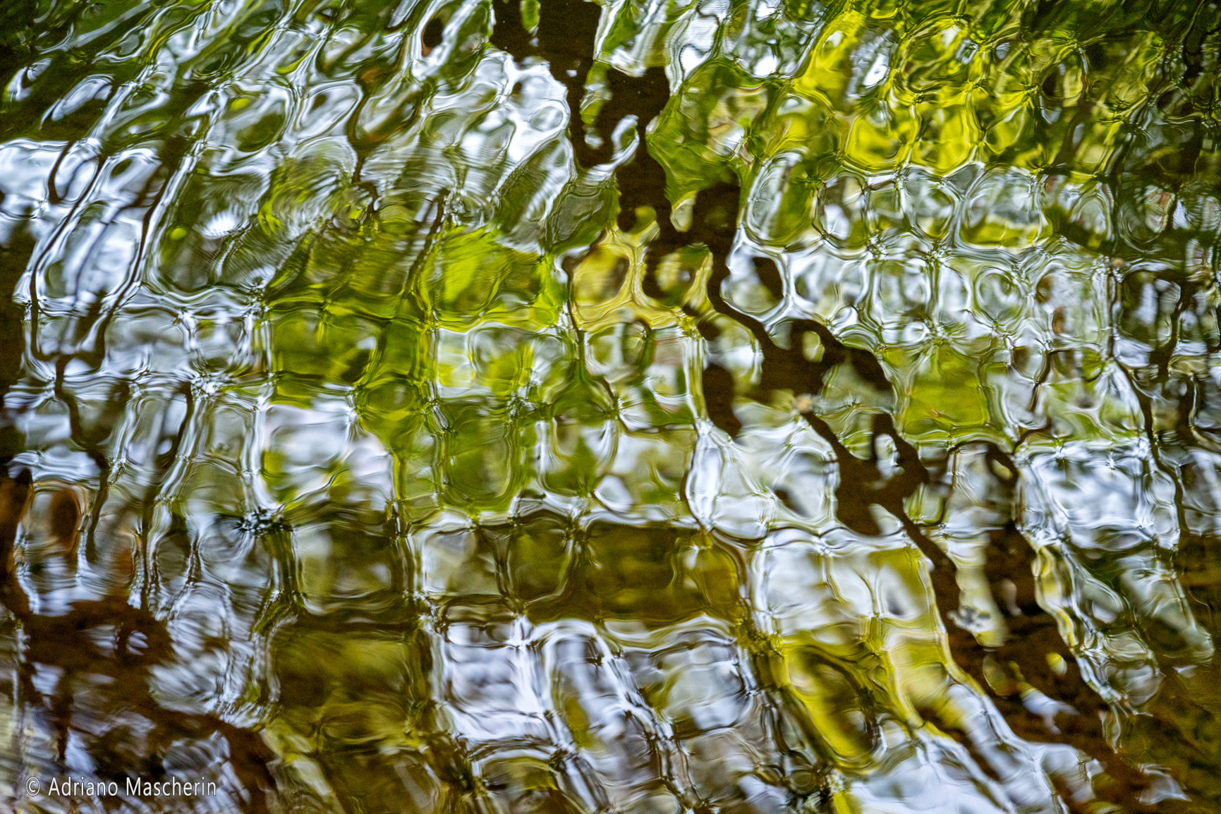 Riflessi Biotopo Acqua Caduta - Biotope Acqua Caduta reflections