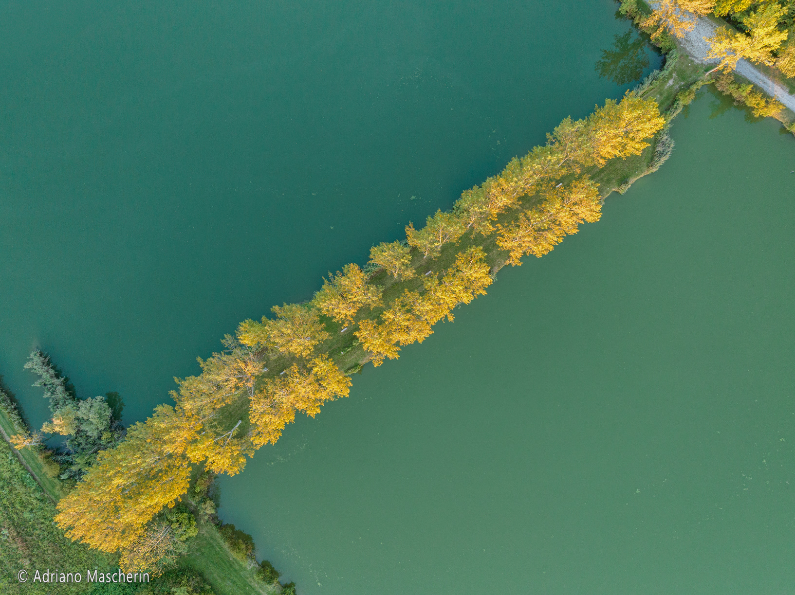 Laghi di Cesena dettagli - Cesena Lakes details