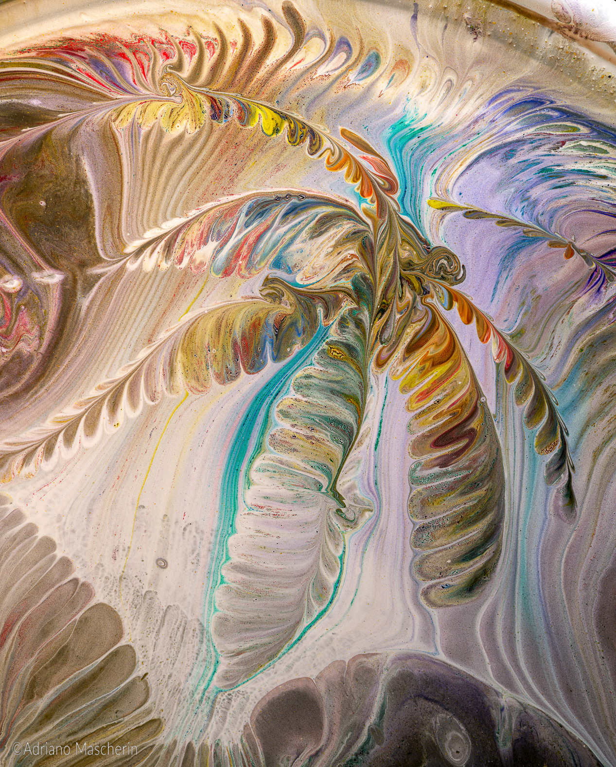 Albero della fantasia - Fantasy tree