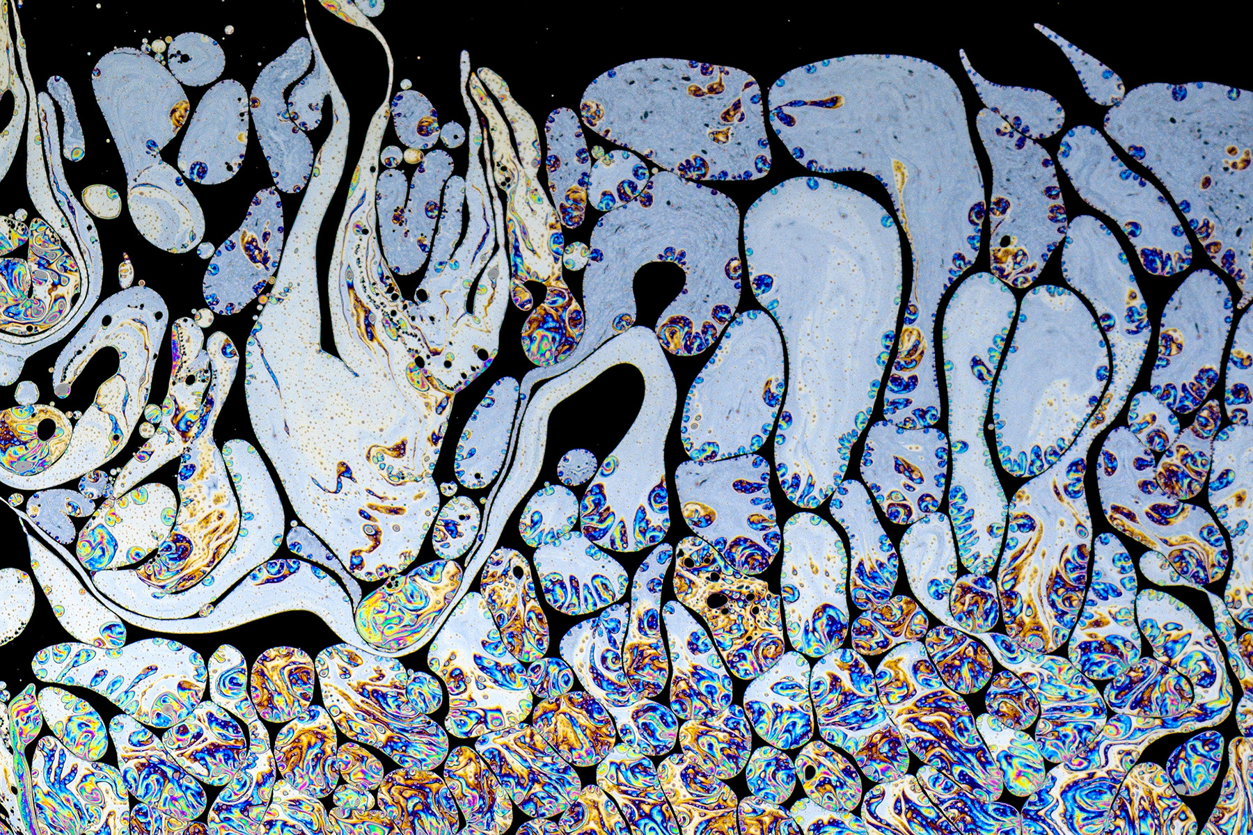 Reticoli da sogno - Dream patterns