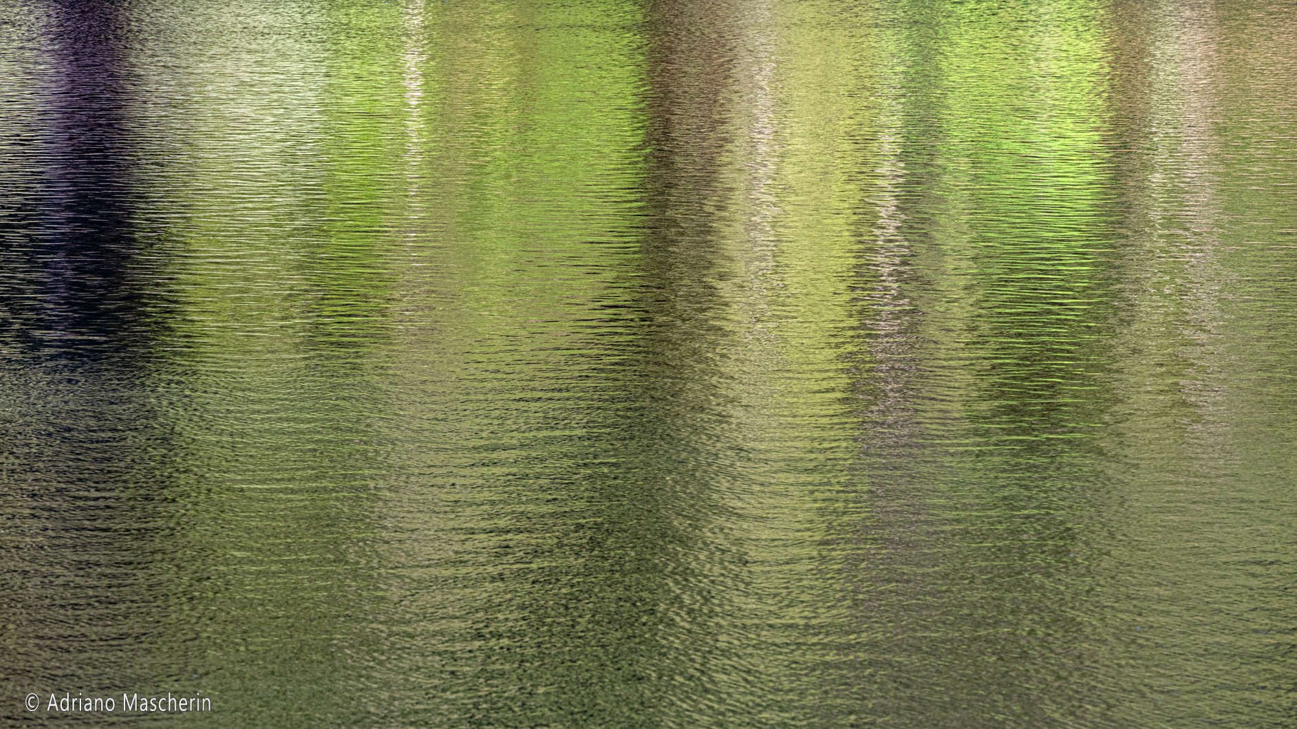 Riflessi laghi Fusine - Fusine lakes reflection