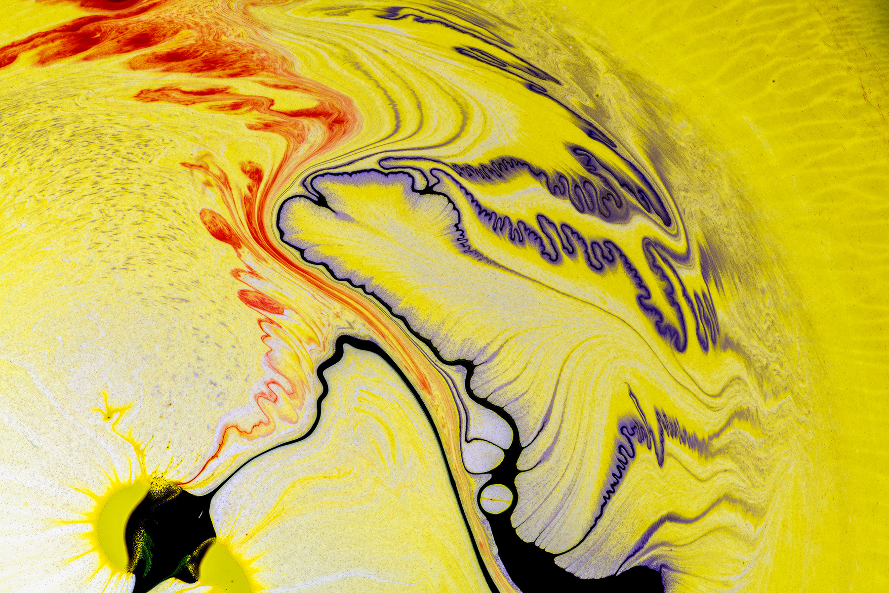 Piroette della fantasia - Fantastic swirls