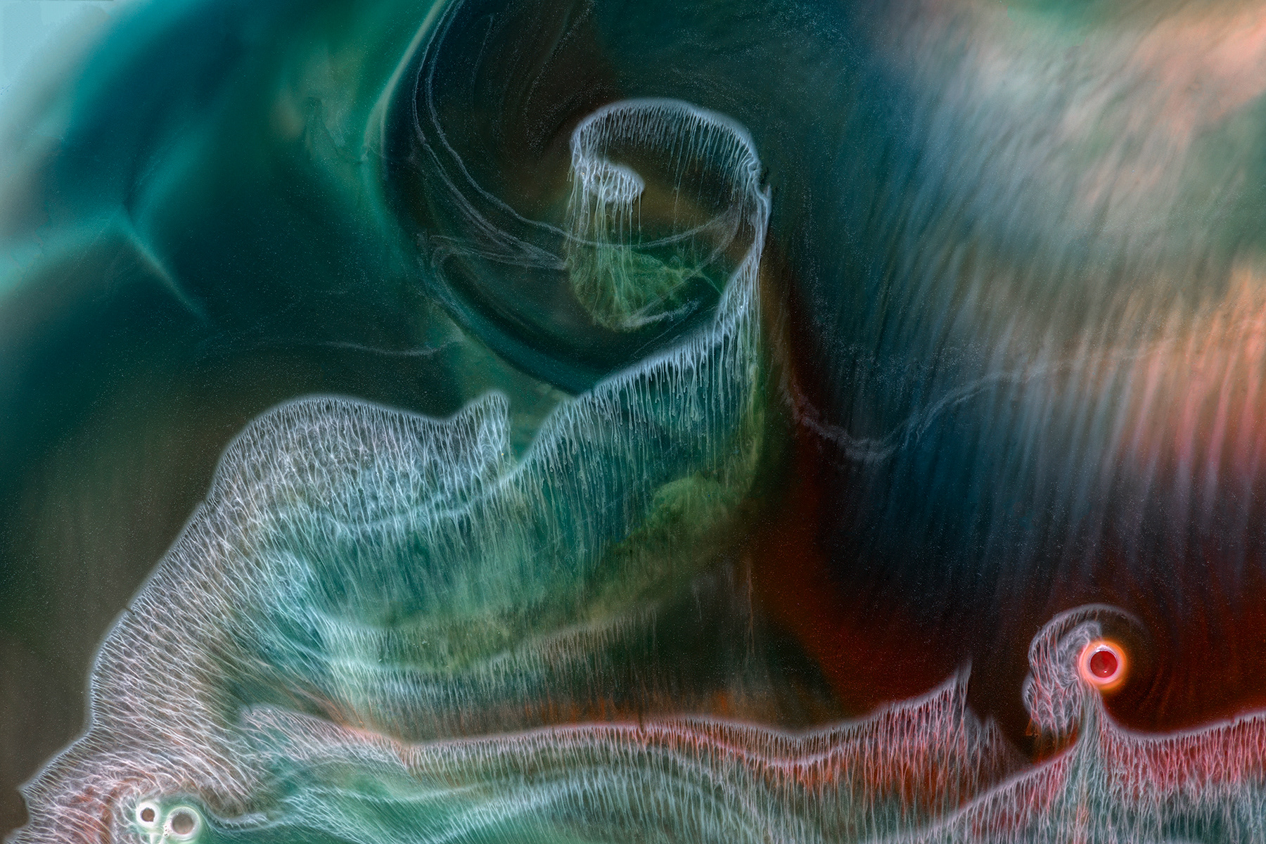 Veli di pace - Veils of peace