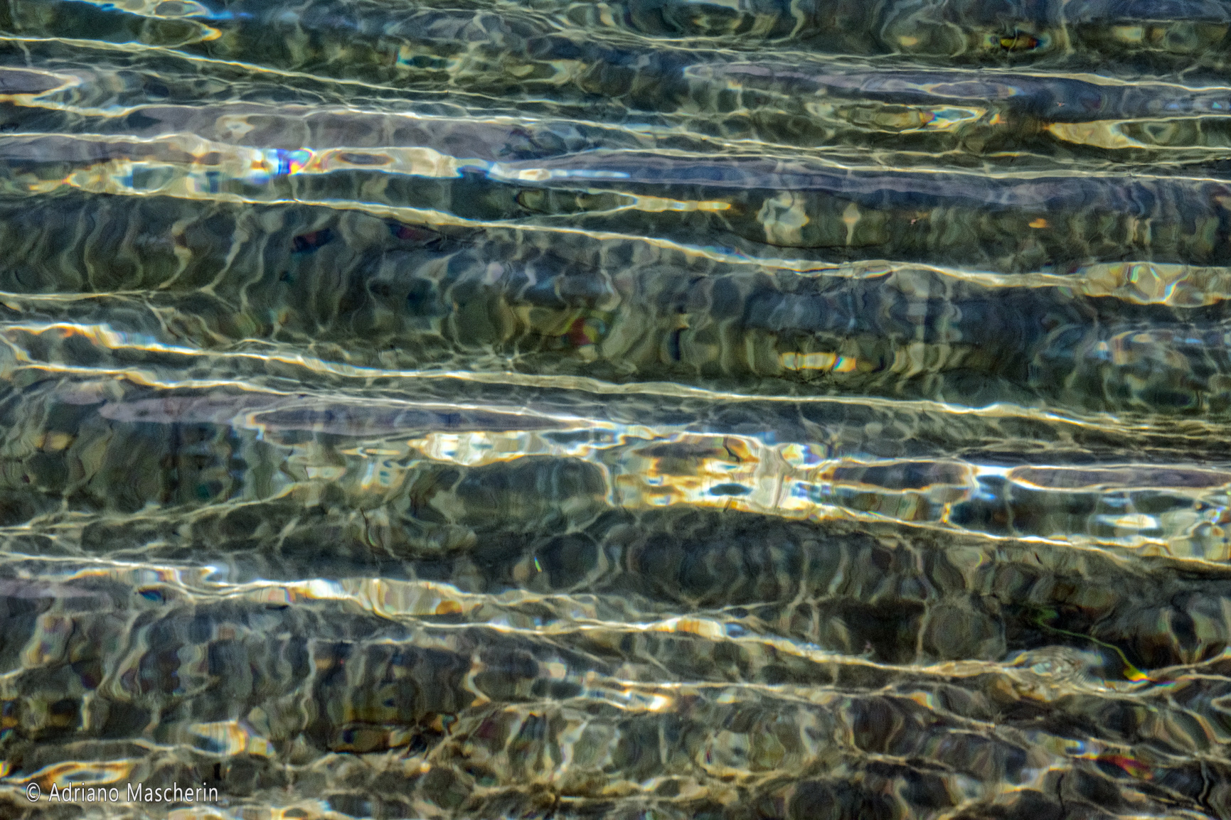 Riflessi lago dell'Accesa - Accesa lake reflection