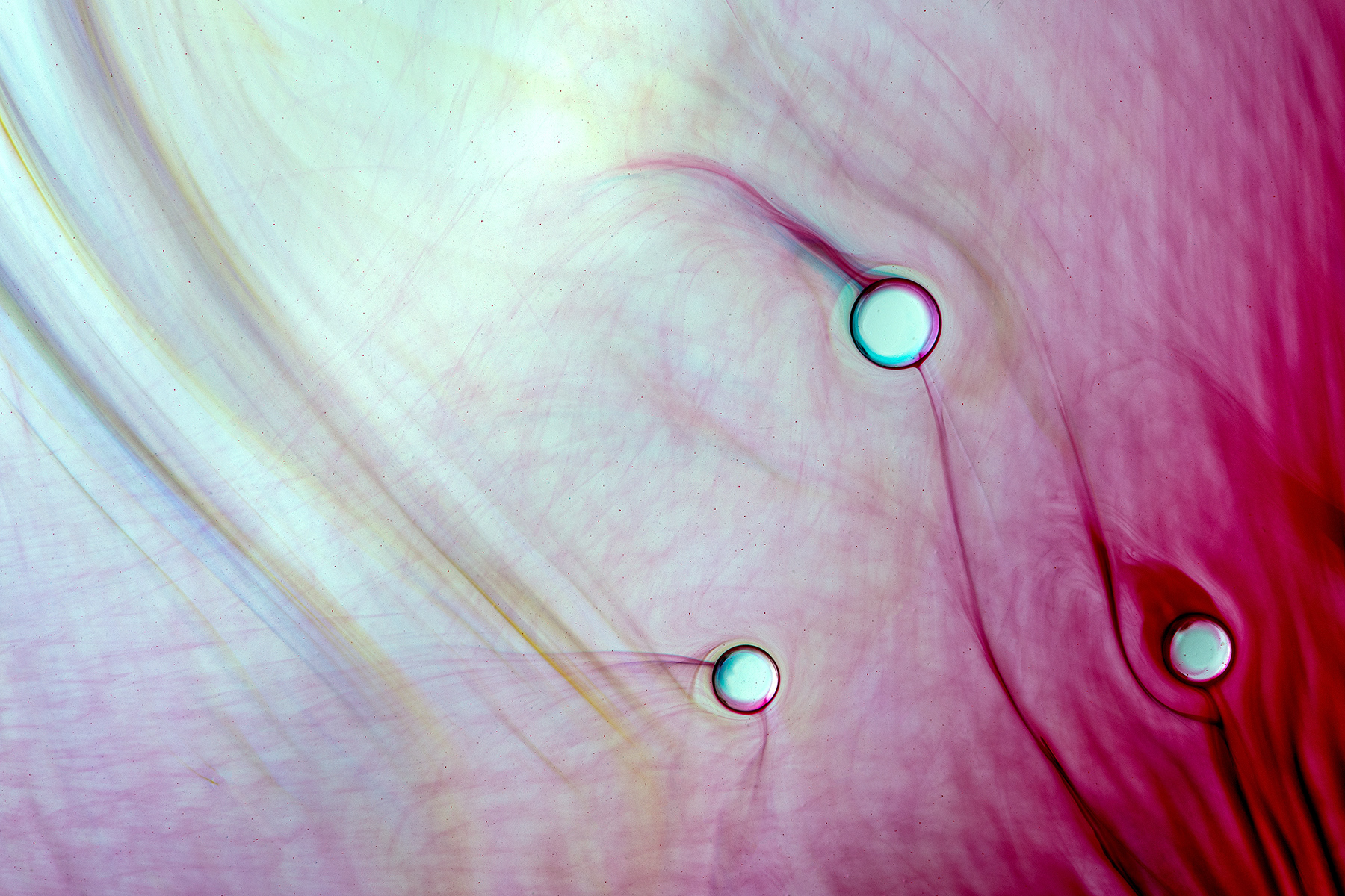 Ai confini del possibile - On the edge of the possible