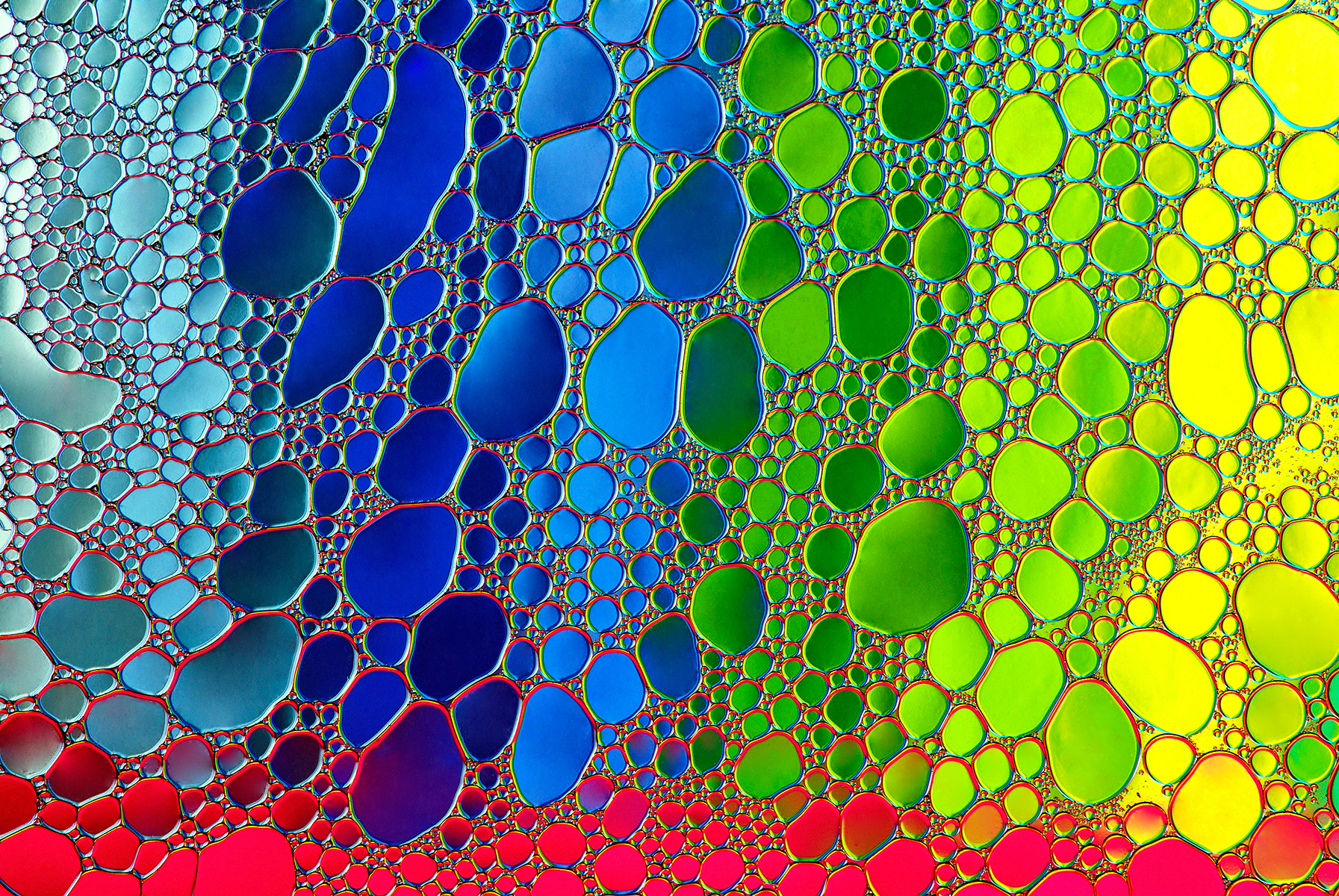 Mosaico variopinto - Colorful mosaic