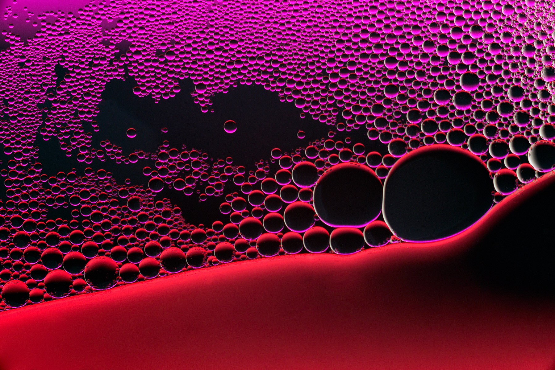 Nel mondo delle bolle - In the world of bubbles