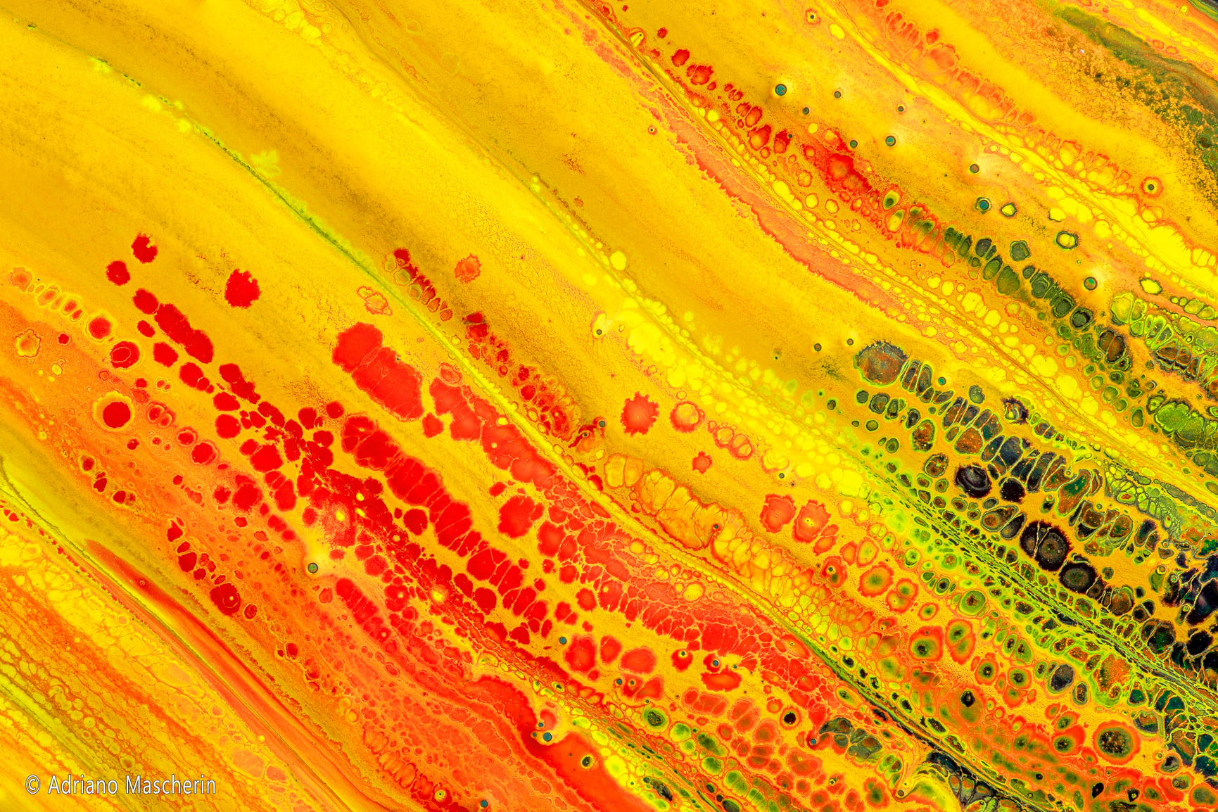 La fonte dei colori - The source of colors