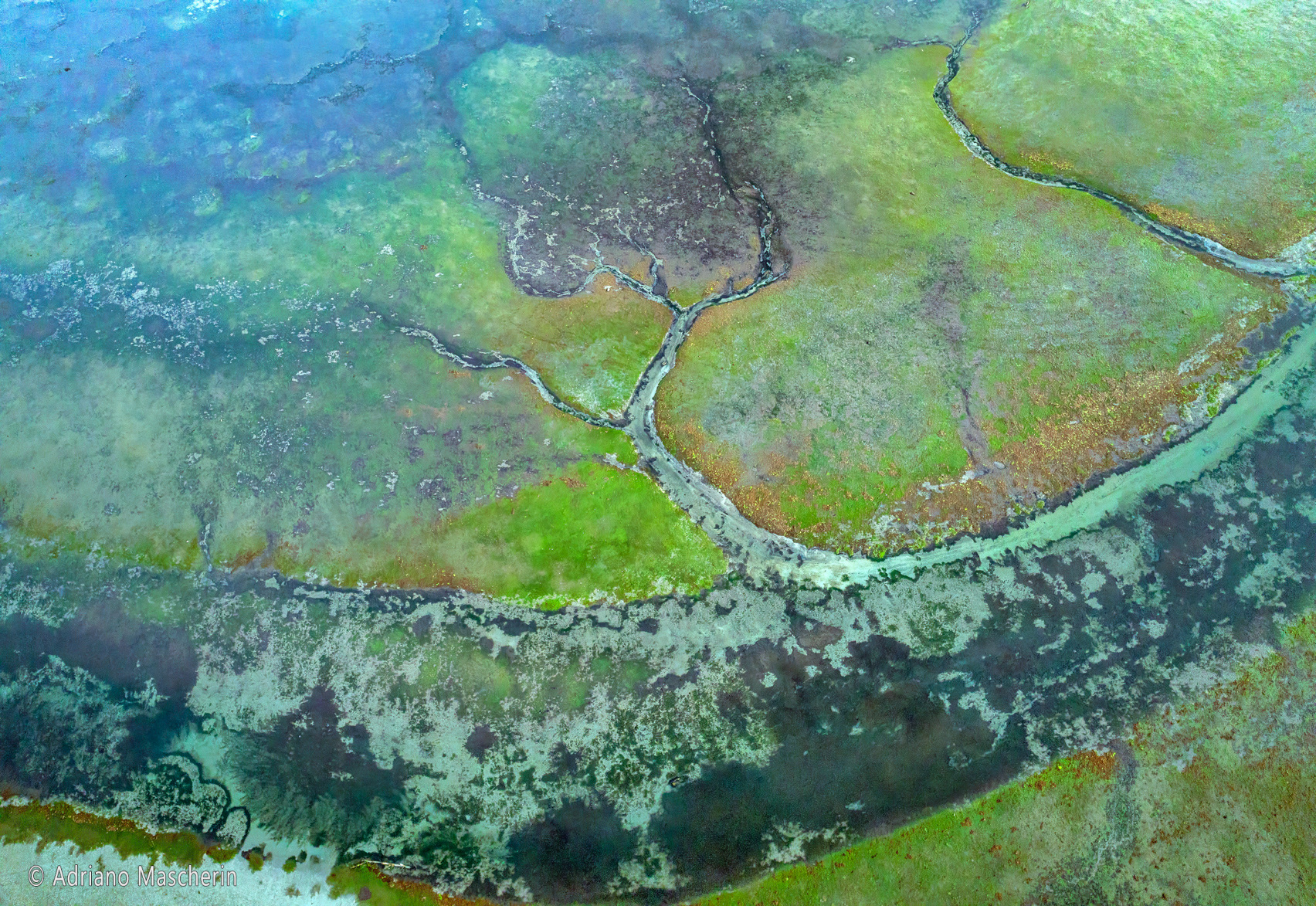 Laguna di Grado - Grado Lagoon