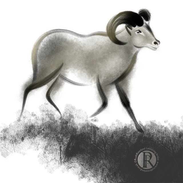 Bighorn Sheep. Sheep Illustration