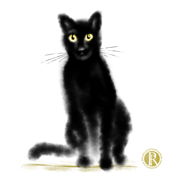Fascinated Feline . Cat Illustration
