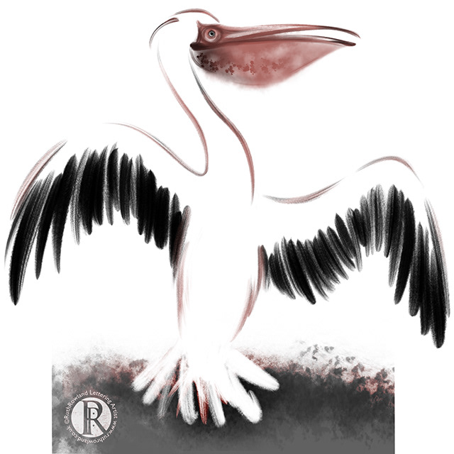 Flappy Pelican . Bird Illustration