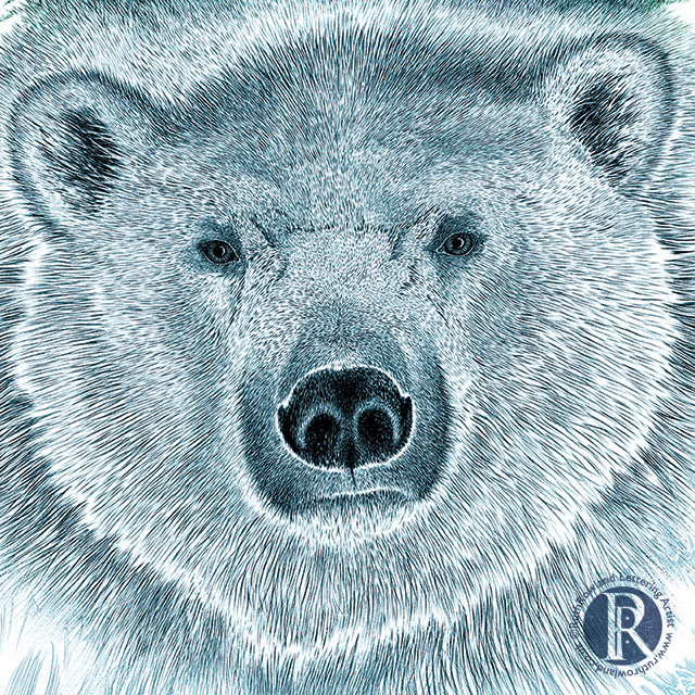 Lettering Artist Ruth Rowland - Christmas Card Illustration: Polar Bear with Norther Lights Detail