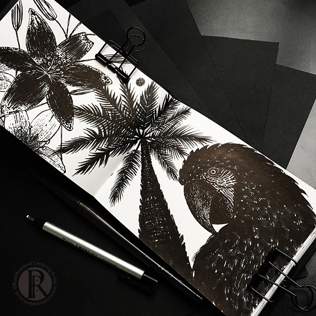 ©Ruth Rowland Lettering Artist & Illustrator - Pen & Ink Sketchbook: Cheeky Parrot Illustration