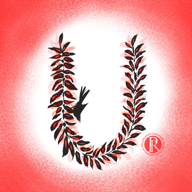 Procreate Digital Lettering Alphabet: Bird Bower U