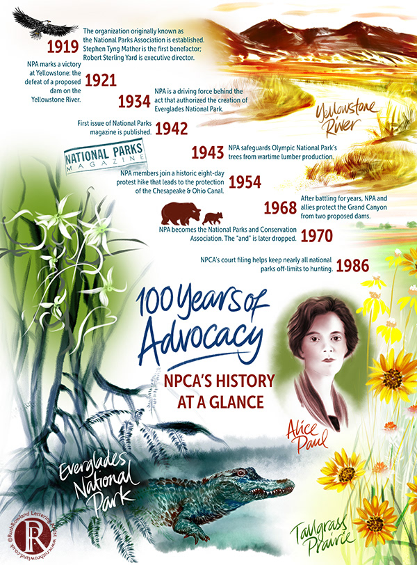 National Parks Conservation Association Centenary Timeline Ruth Rowland Lettering Artist & Illustrator