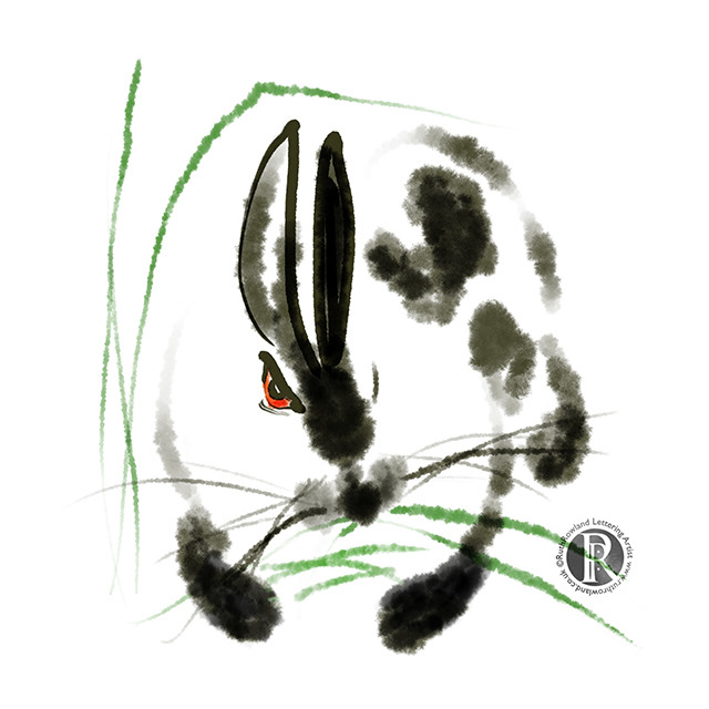 Grumpy Bunny . Rabbit Illustration