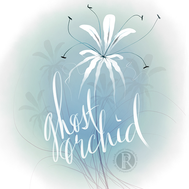 Ghost Orchid . Flower Illustration
