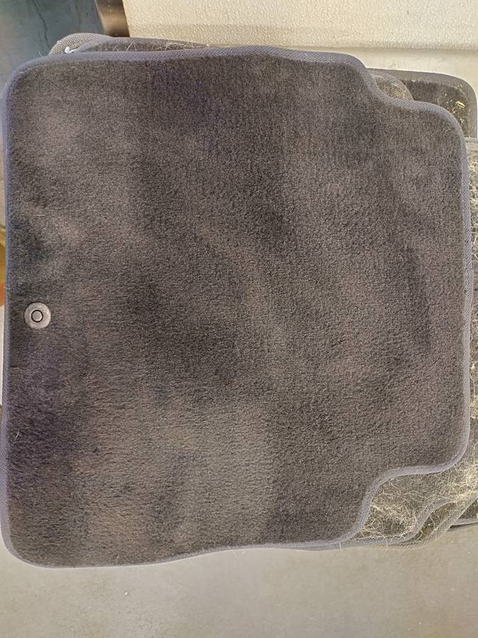 Pet Hair Removal (After)