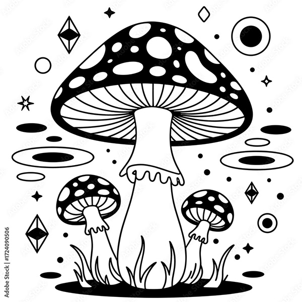 Mushroom Collection — Adobe Stock 1724090506