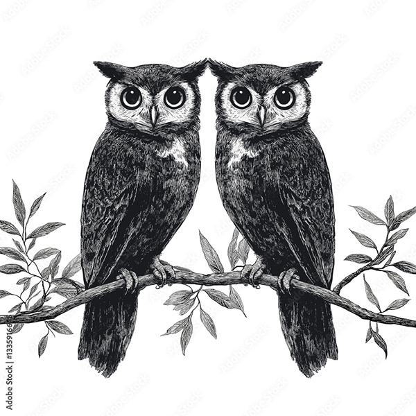 Animals — Adobe Stock 1335916645
