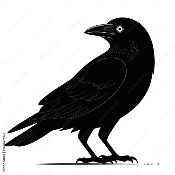 Birds — Adobe Stock 1478476127