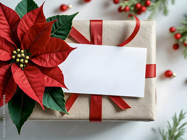 Wrapped Presents Collection — Adobe Stock 1012994146