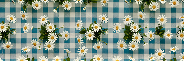 TwItter Banner 3:1 — Adobe Stock 1422975304