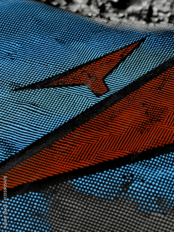 Abstract Art Collection — Adobe Stock 1315905478