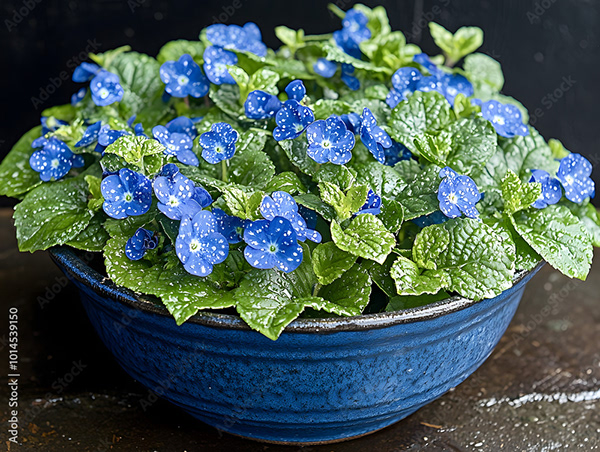 Floral - Flowers — Adobe Stock 1014539150