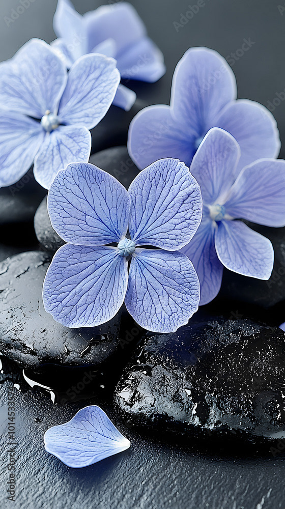 Floral - Flowers — Adobe Stock 1014533574