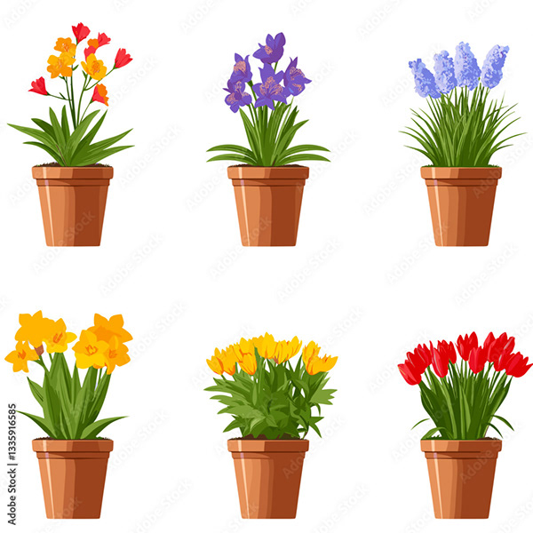 Floral - Flowers — Adobe Stock 1335916585