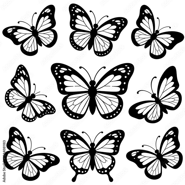 Butterflies Collection — Adobe Stock 1544081183