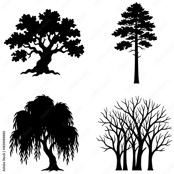 Plants Collection — Adobe Stock 1830188880