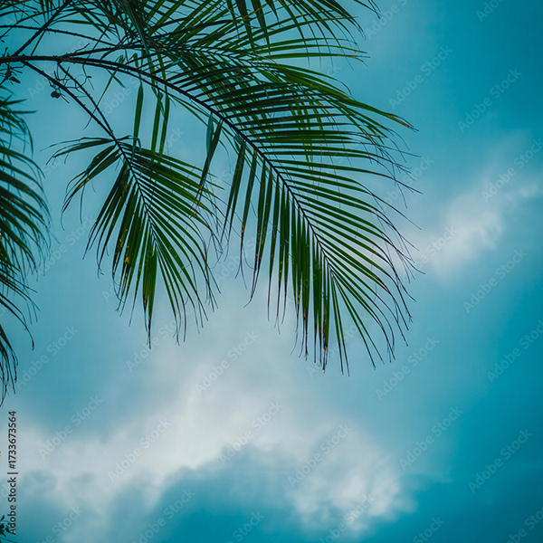Plants Collection — Adobe Stock 1733673564