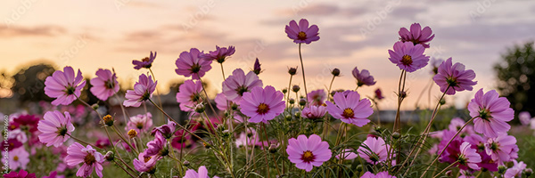 Floral - Flowers — Adobe Stock 1422976660