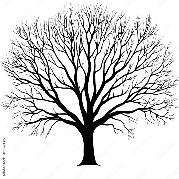 Trees Collections — Adobe Stock 1135633925